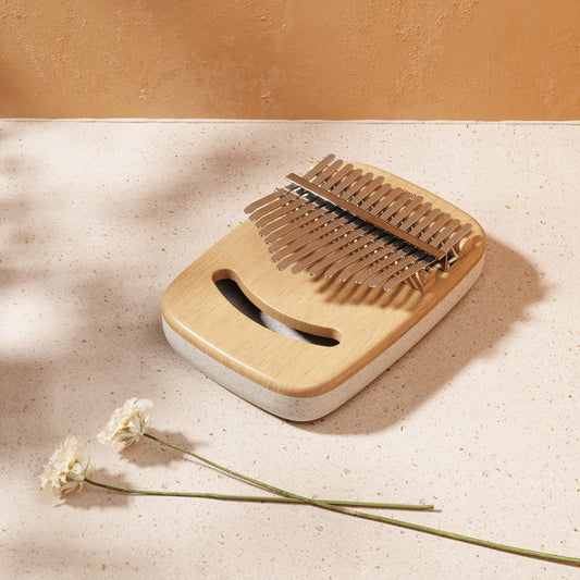 Strumba, musikkinstrument