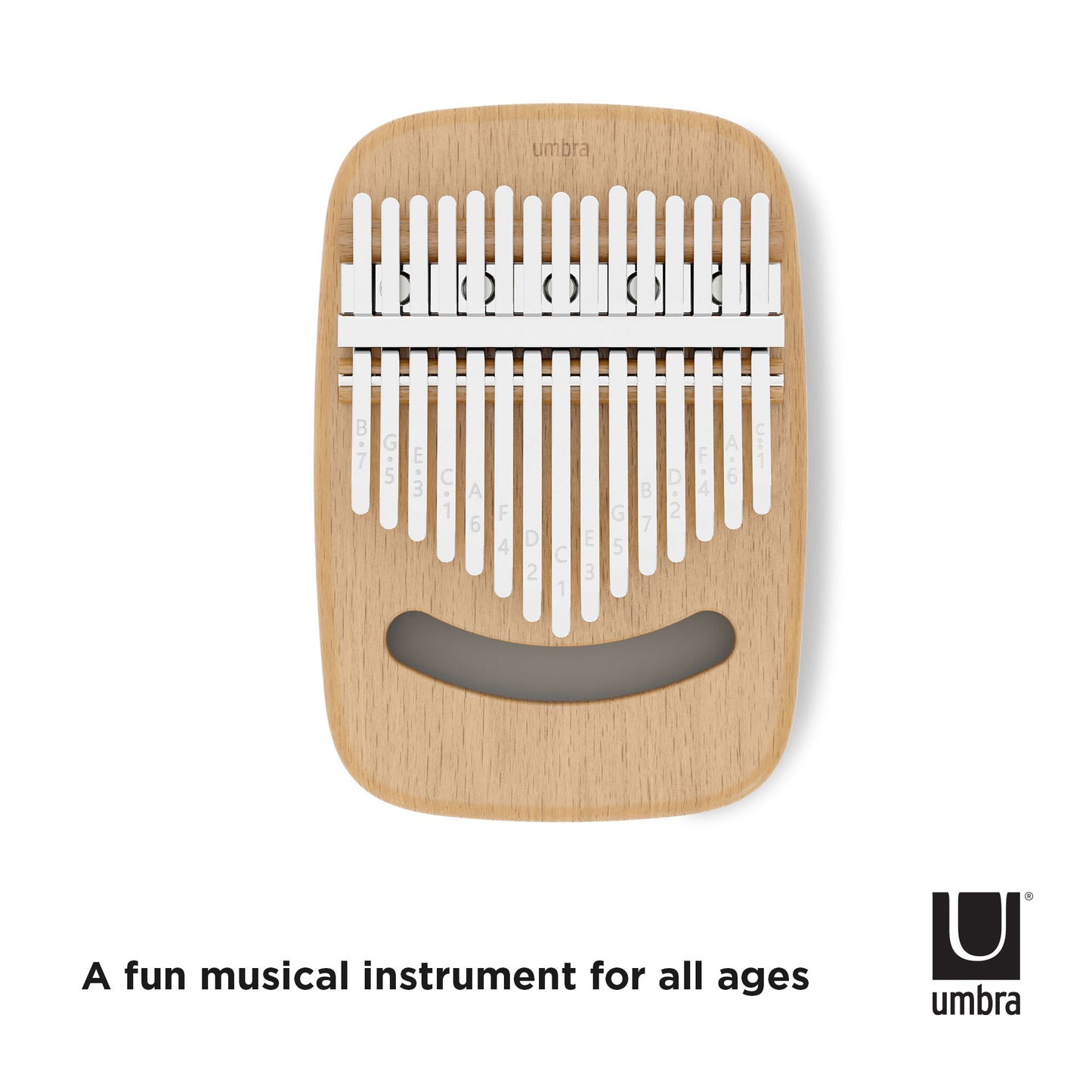 Strumba, musikkinstrument