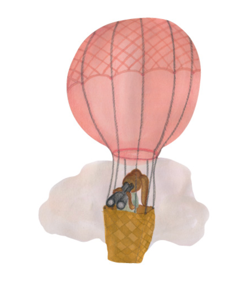 That's Mine Wallsticker Hot Air Balloon Rose
