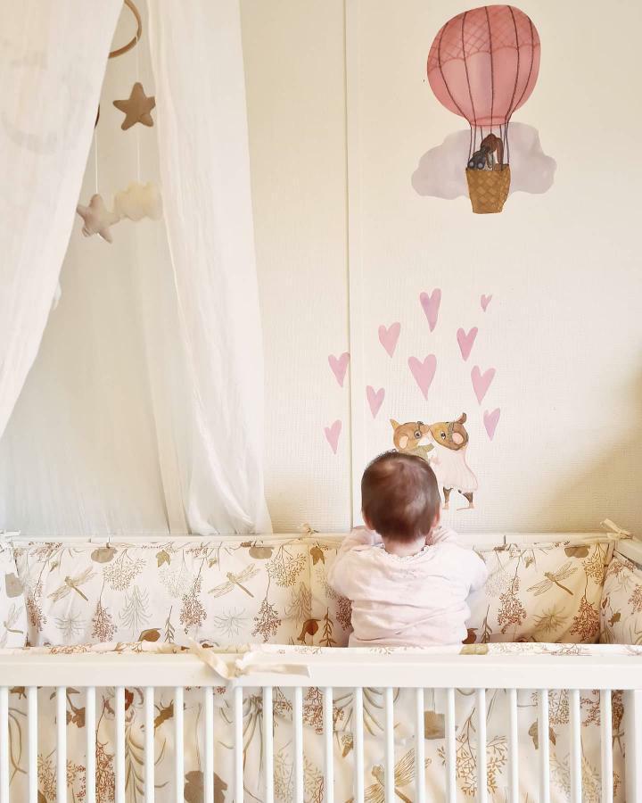 That's Mine Wallsticker Hot Air Balloon Rose