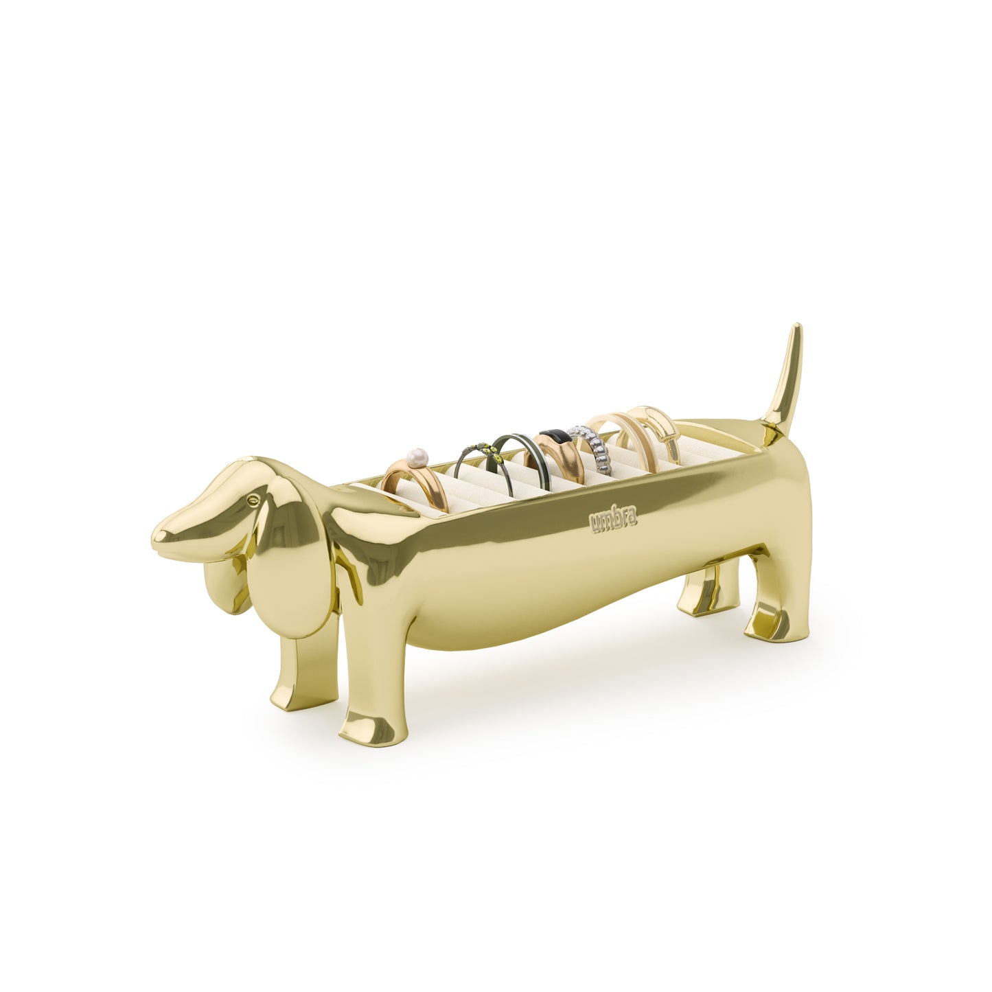 Ringholder Dachsie gull
