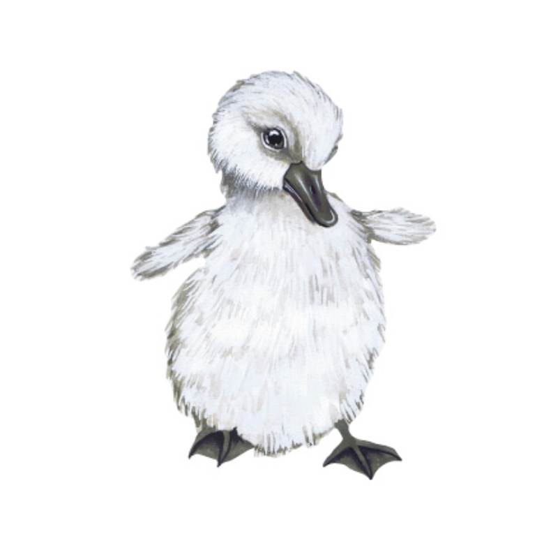 That's Mine Wallsticker The beautiful Duckling