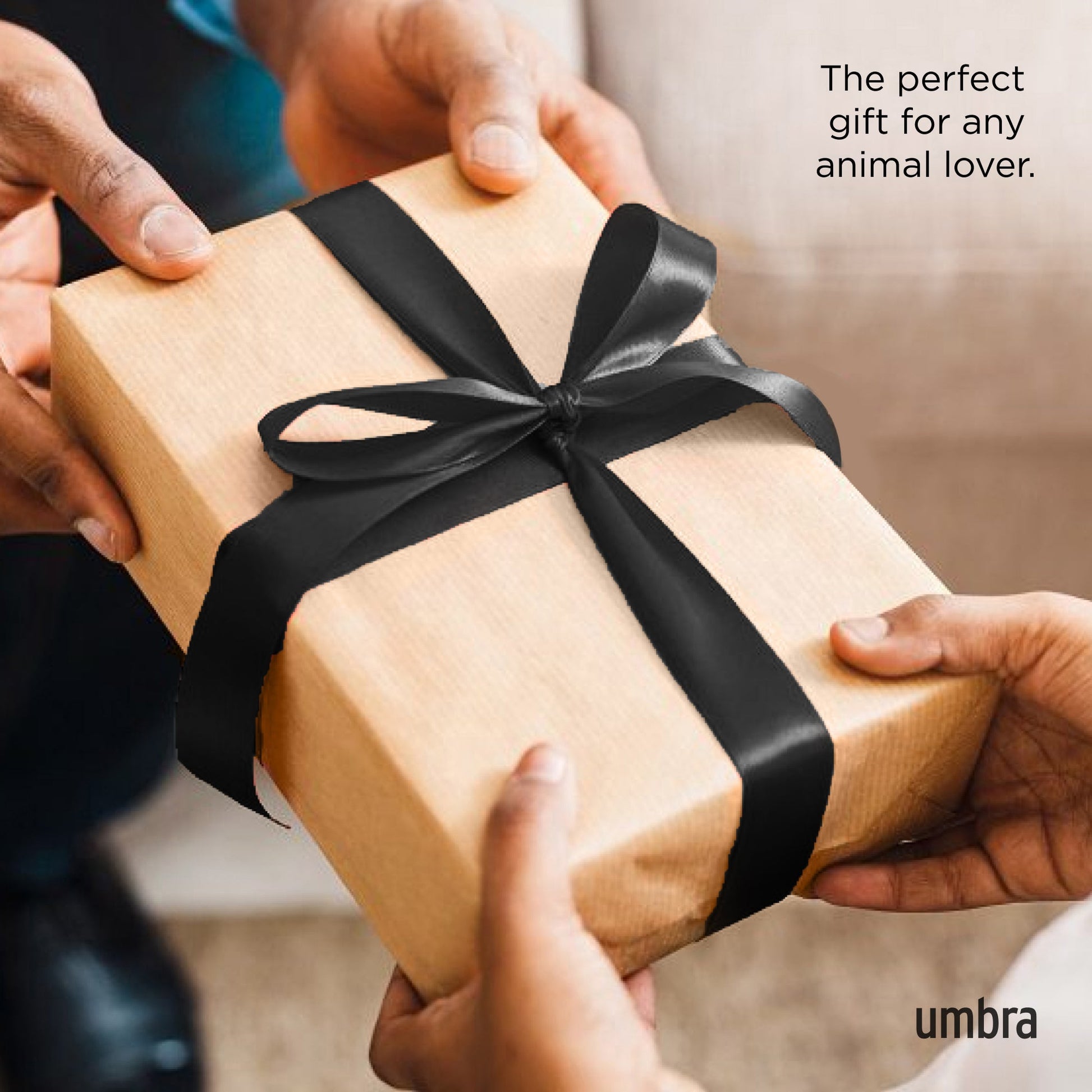 Ringholder Dachsie messing, en del av kategorien - At Home Interiør