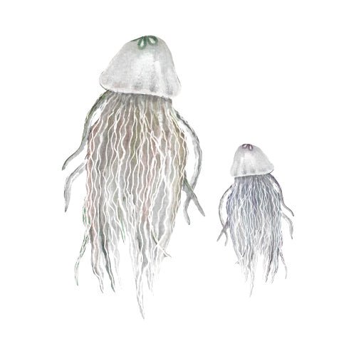 That's Mine Wallsticker Jellyfish, en del av kategorien Wallstickers - At Home Interiør