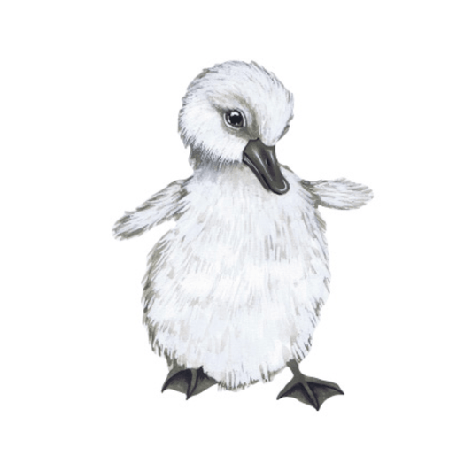 That's Mine Wallsticker The beautiful Duckling, en del av kategorien Wallstickers - At Home Interiør