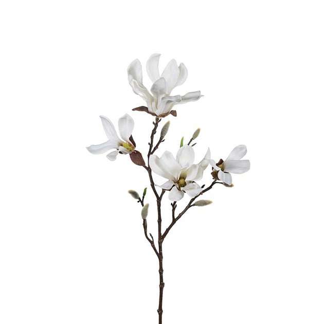 Magnolia hvit, en del av kategorien Kunstig plante - At Home Interiør